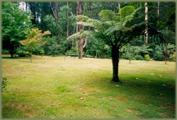 Noojee Accommodation