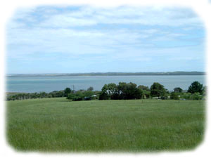Moilong