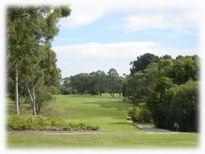 Moe Golf Club