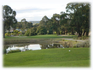 Moe gippsland