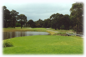 Moe Golf Club