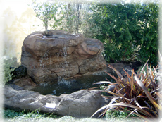 Traralgon West Nursery