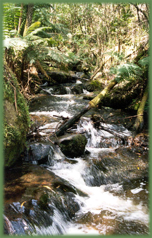 Department of Sustainability  Environment