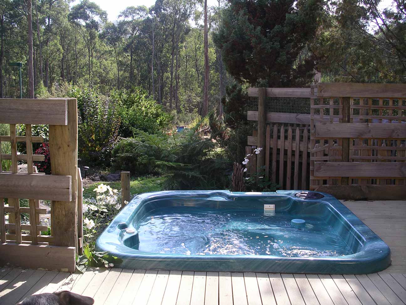 SPA