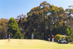 lgolf2