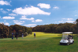 Lgolf1