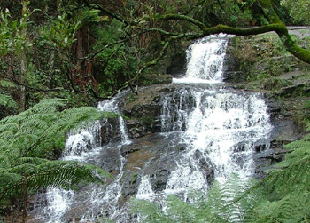 Turtons Creek Falls