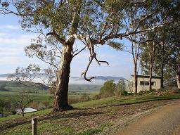 Buchan Motel - Image 1