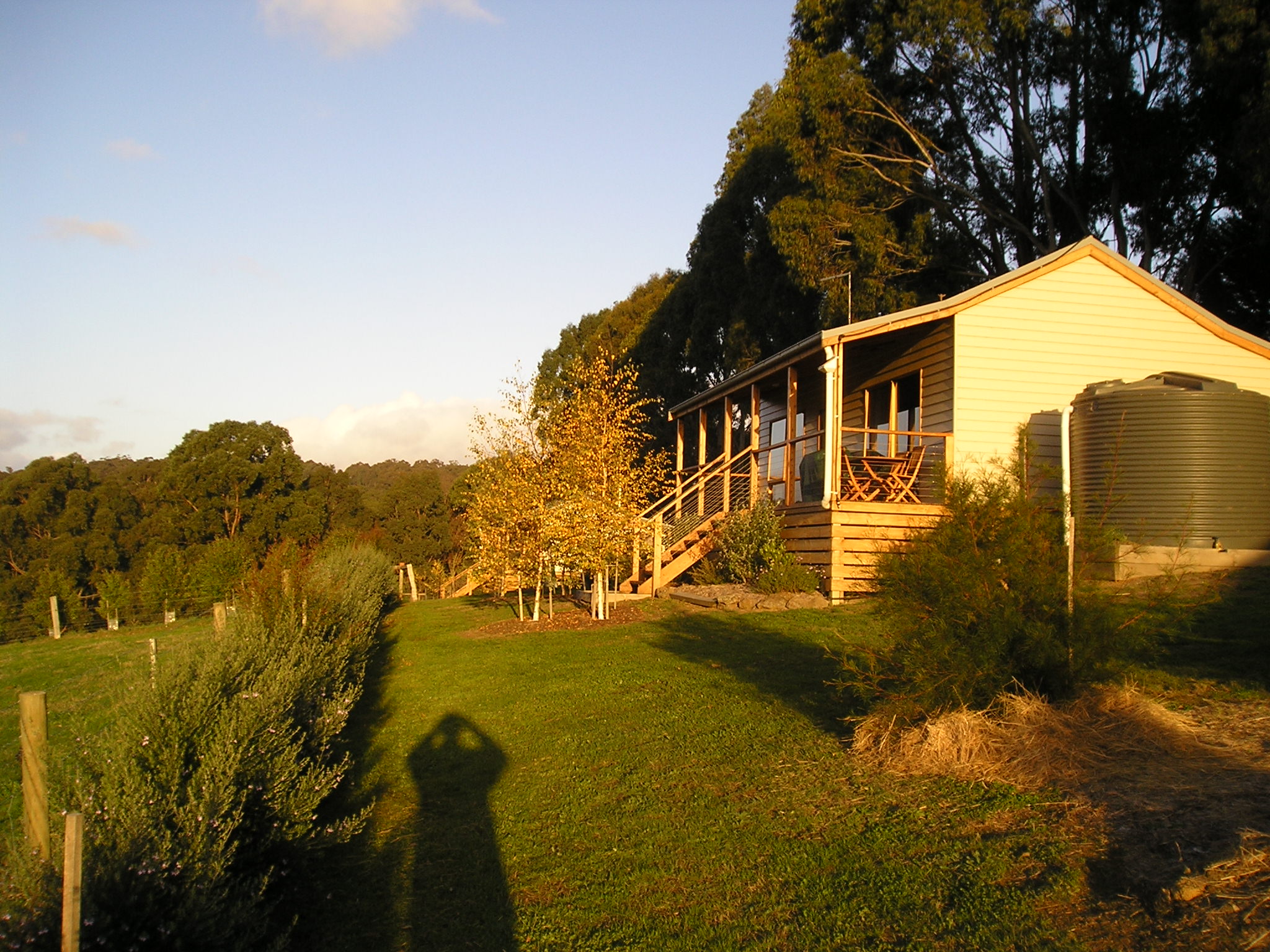 Birchwood1