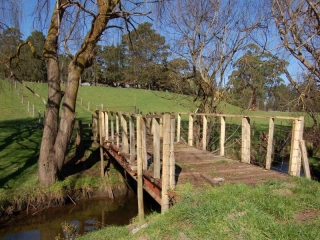 spot the platypus
