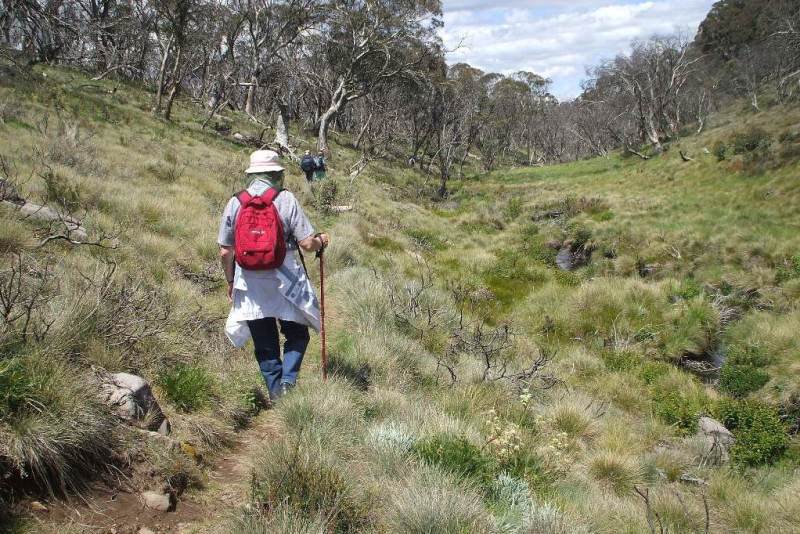 Alpine Walking Holiday