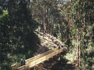 Mirboo North to Boolarra Rail Trail