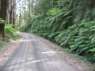 Grand Ridge Road