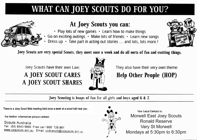 Joey Flyer